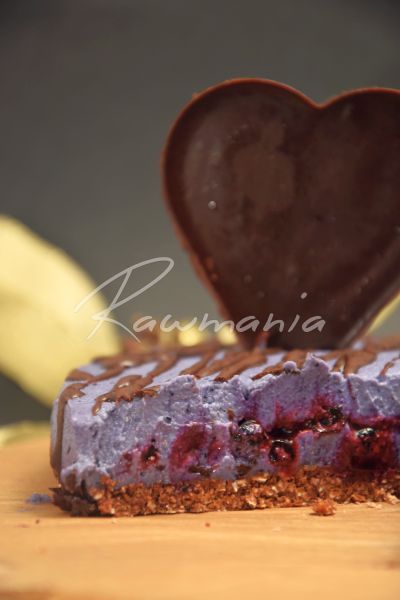 boruvkovy cheescake8