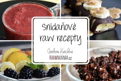 E-book Sn&iacute;daňov&eacute; raw recepty